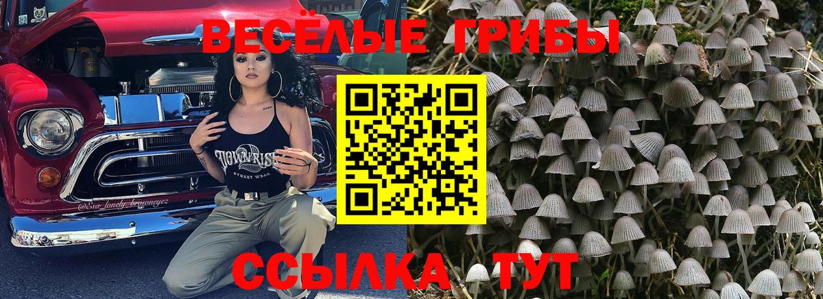 Галлюциногенные грибы мухоморы  Вход с VPN  Алексин 